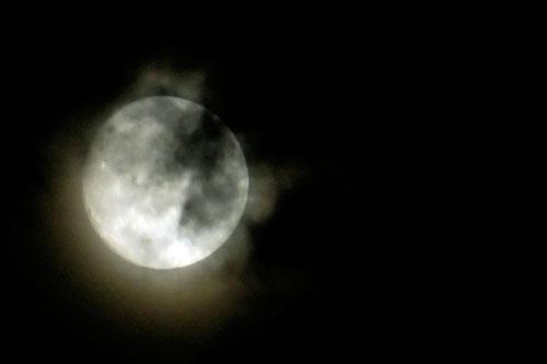 Cae la noche Cae la noche