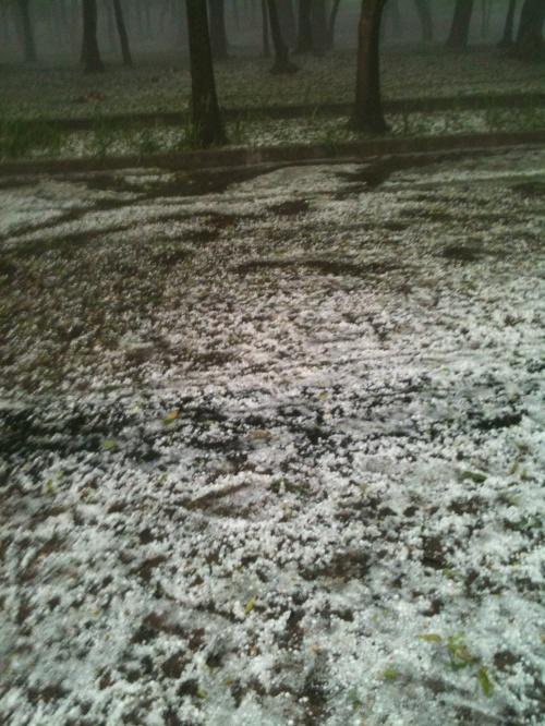 la foto Café Ruta de la Seda en Ecofest 2012