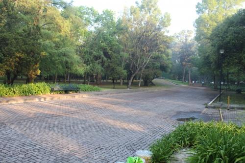 IMG_5125 Café Ruta de la Seda en Ecofest 2012