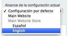 vistas-tiendas Configuración multi idioma en Magento