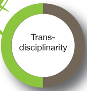 Imagen1 La evolución del entorno laboral: la repercusión de la sociedad red