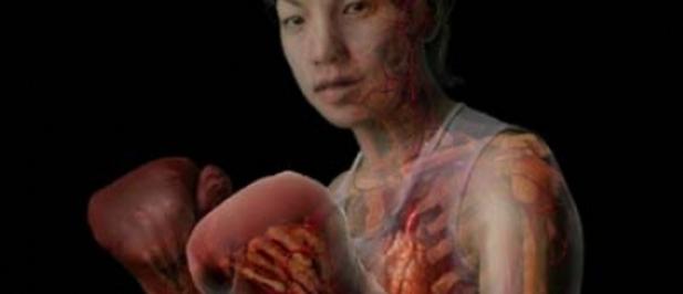 Una linterna magica permite ver en 3D el interior del cuerpo humano