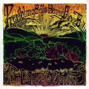 Bonnie ‘Prince’ Billy & Trembling Bells – The Marble Downs