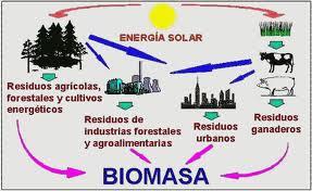Energías Renovables, La Biomasa Forestal