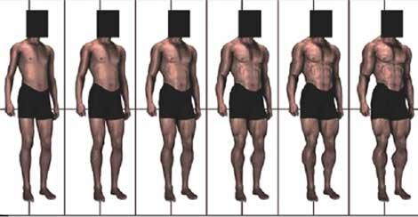 Esquema usado para que se evaluara la musculatura de los modelos. | PLoS ONE