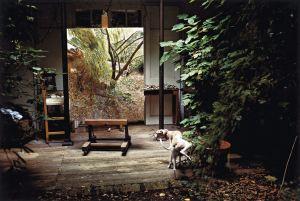 1650323_6_97a5_painters-garden-with-eli-2006_6f869b7ec9613c9606daf7c187c0e323 Lucien Freud, backstage