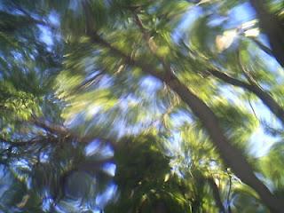 sol irremediable sol irremediable