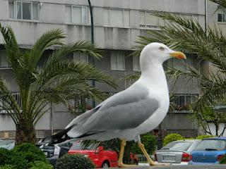 La Gacetilla del Buen Lifestyle. La Gacetilla del Buen Lifestyle.
