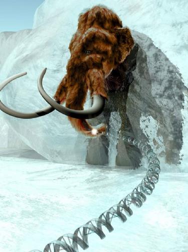 Secuencia del ADN de Mamut Secuencia del ADN de Mamut