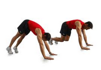 ¿CÓMO ESTAS HACIENDO TUS ABDOMINALES? ¿CÓMO ESTAS HACIENDO TUS ABDOMINALES?