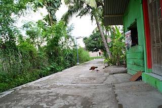 Nuestro kampung. Nuestro kampung.