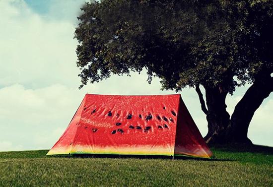 Si te gusta ir de camping... Si te gusta ir de camping...