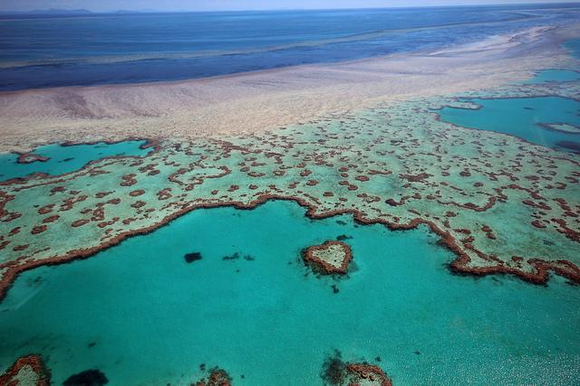 La Gran Barrera de Coral