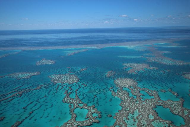 La Gran Barrera de Coral