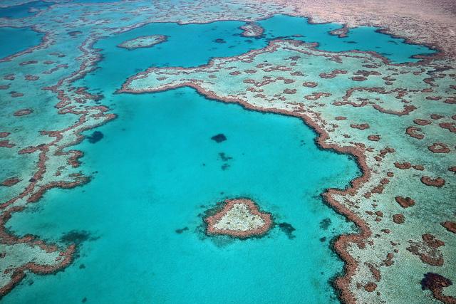 La Gran Barrera de Coral