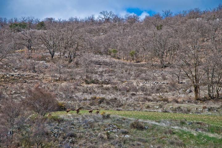 Escapada de fin de semana a Castilla la Mancha.  Por Max.