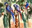 blue-parrots - auguste macke Deja entrar a las aves en tu hogar