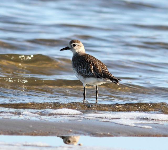 TARRAGONA COSTA E INTERIOR-CON AMIGOS TARRAGONA COSTA E INTERIOR-CON AMIGOS