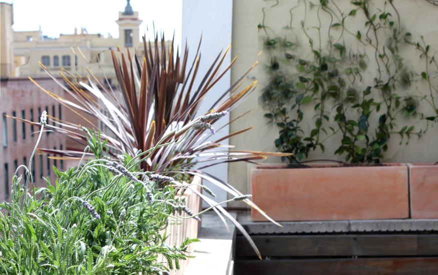 diseno-atico-madrid-99 diseno atico madrid 99 Diseño express en el ático