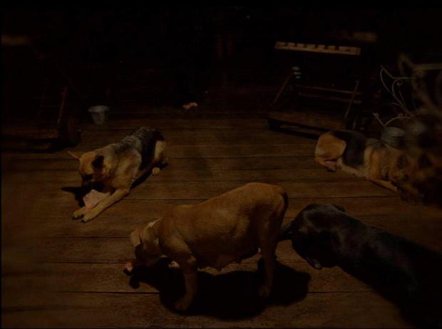 Cannes 2012: 'Post Tenebras Lux' el expresionismo experimental de Carlos Reygadas Cannes 2012: 'Post Tenebras Lux' el expresionismo experimental de Carlos Reygadas