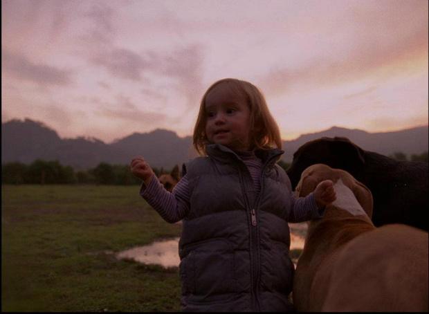 Cannes 2012: 'Post Tenebras Lux' el expresionismo experimental de Carlos Reygadas Cannes 2012: 'Post Tenebras Lux' el expresionismo experimental de Carlos Reygadas