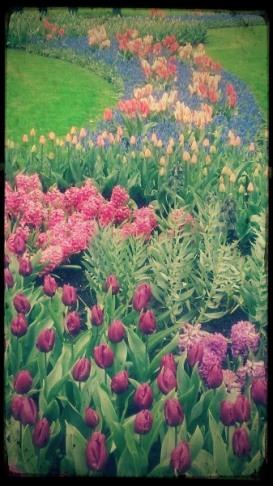 Tipo1-e 23A. De flores y leyendas