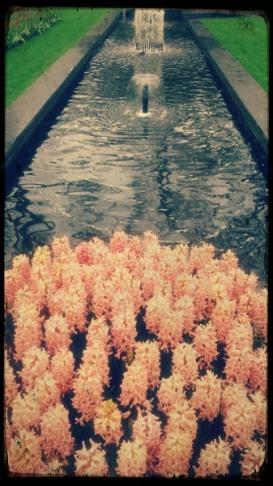 Tipo1-d 23A. De flores y leyendas