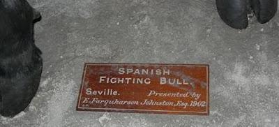 MACANDRITO MACANDRITO