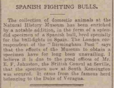 MACANDRITO MACANDRITO