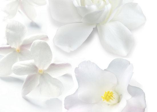 flores blancas Cofre Huile Sensorielle de Lierac flores blancas Cofre Huile Sensorielle de Lierac