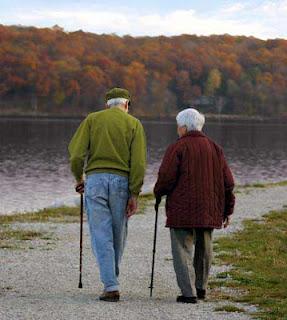 Detectar Alzheimer y Parkinson gracias a un Sensor Óptico