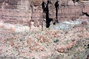 1469306237 La asimilación de minerales en el Cámbrico pudo haber sido un factor clave para la vida