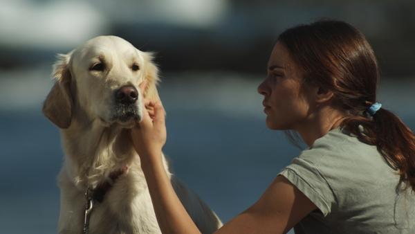 Seis puntos sobre Emma. El estreno. Seis puntos sobre Emma. El estreno.