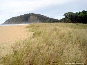 Playa de Rodiles: Dunas y bosque