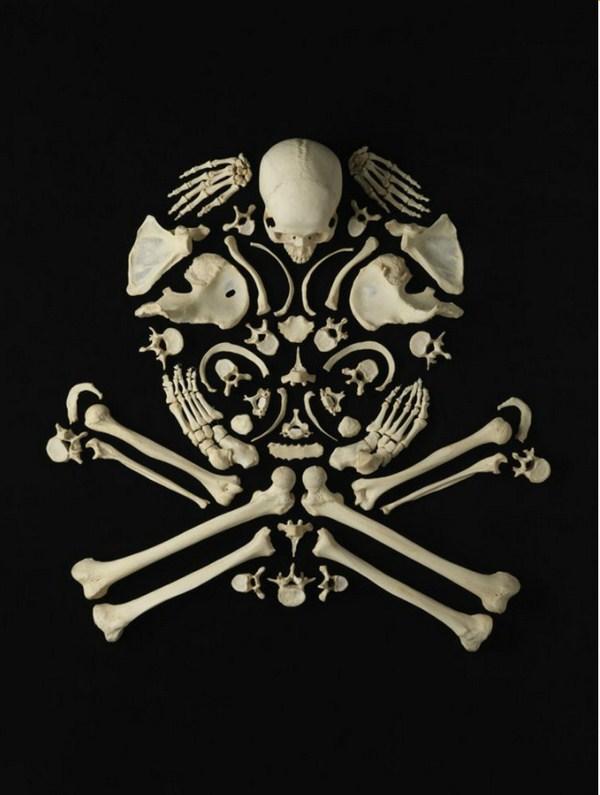 Stop The Violence por François Robert stop the violence por François Robert