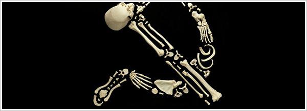 Stop The Violence por François Robert stop the violence por François Robert