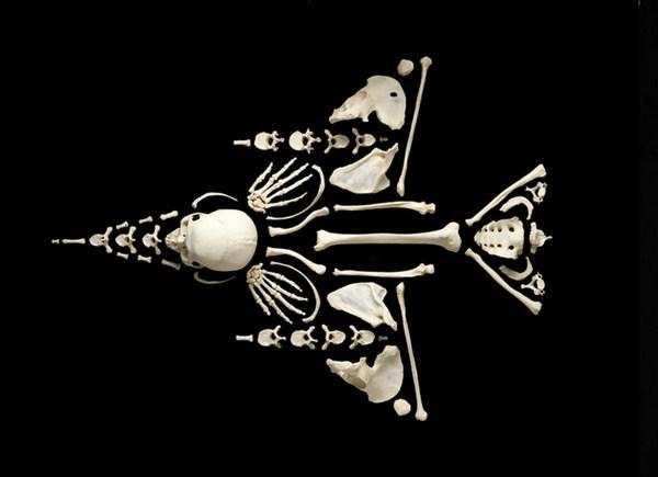 Stop The Violence por François Robert stop the violence por François Robert