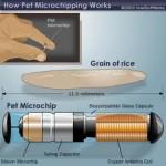 NUEVO ORDEN MUNDIAL “EL MICROCHIP”.