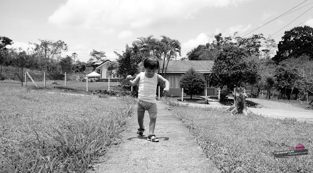 Mi vida en 2 colores Mi vida en 2 colores