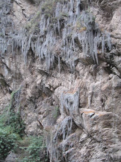 CAMINANDO HACIA UN PUEBLO FANTASMA: HUAQUIS