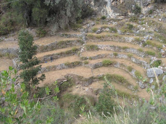 CAMINANDO HACIA UN PUEBLO FANTASMA: HUAQUIS