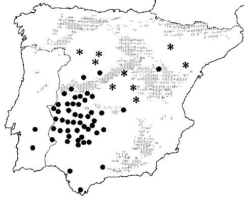 Tras las últimas grullas