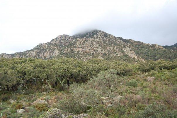 Pico de el Aljibe (882 m) en el Parque Natural de los Alcornocales (Cádiz)