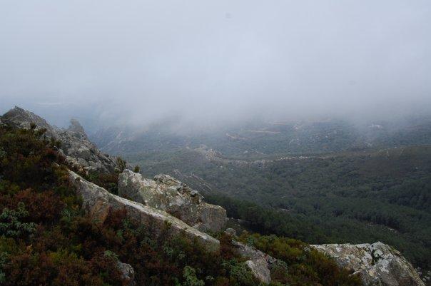 Pico de el Aljibe (882 m) en el Parque Natural de los Alcornocales (Cádiz)