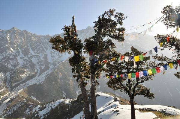 Trekking a Triund