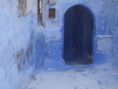 Unos días en Chefchaouen