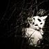 Fotos para un paseo de sábado Lost_little_kitty_by_raycietor.jpg