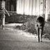 Fotos para un paseo de sábado The_Day_I_Ran_Away_bw_by_raycietor.jpg