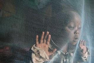 ¿Qué es...?: La malaria ¿Qué es...?: La malaria