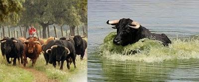 ANTROPOLOGIA DE LA FIESTA Y SU INFLUENCIA EN LA CULTURA HISPANICA (Capitulo I) ANTROPOLOGIA DE LA FIESTA Y SU INFLUENCIA EN LA CULTURA HISPANICA (Capitulo I)